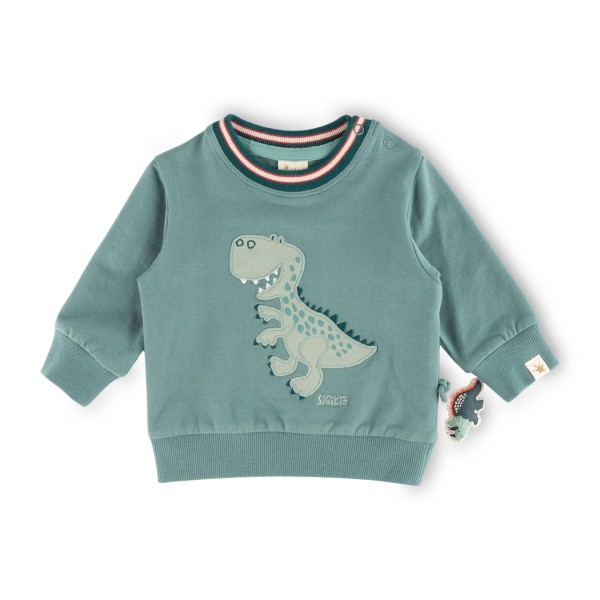 SWEATSHIRT MIT DINO MOTIV, GRÜN