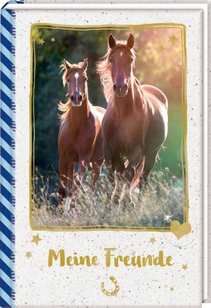 Freundebuch Galoppierende Pferde