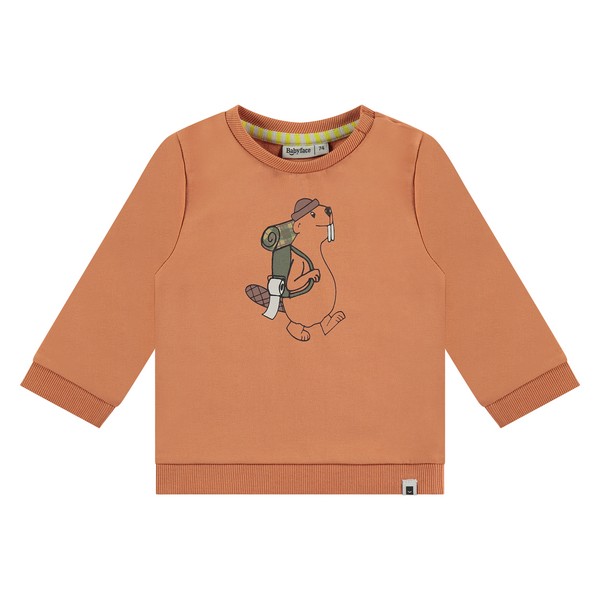 Sweatshirt orange Biber